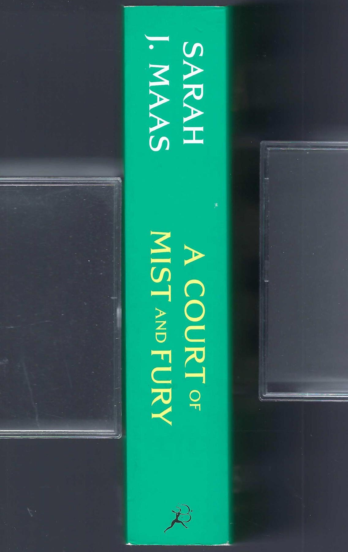 A Court of Mist and Fury by Sarah Maas spine