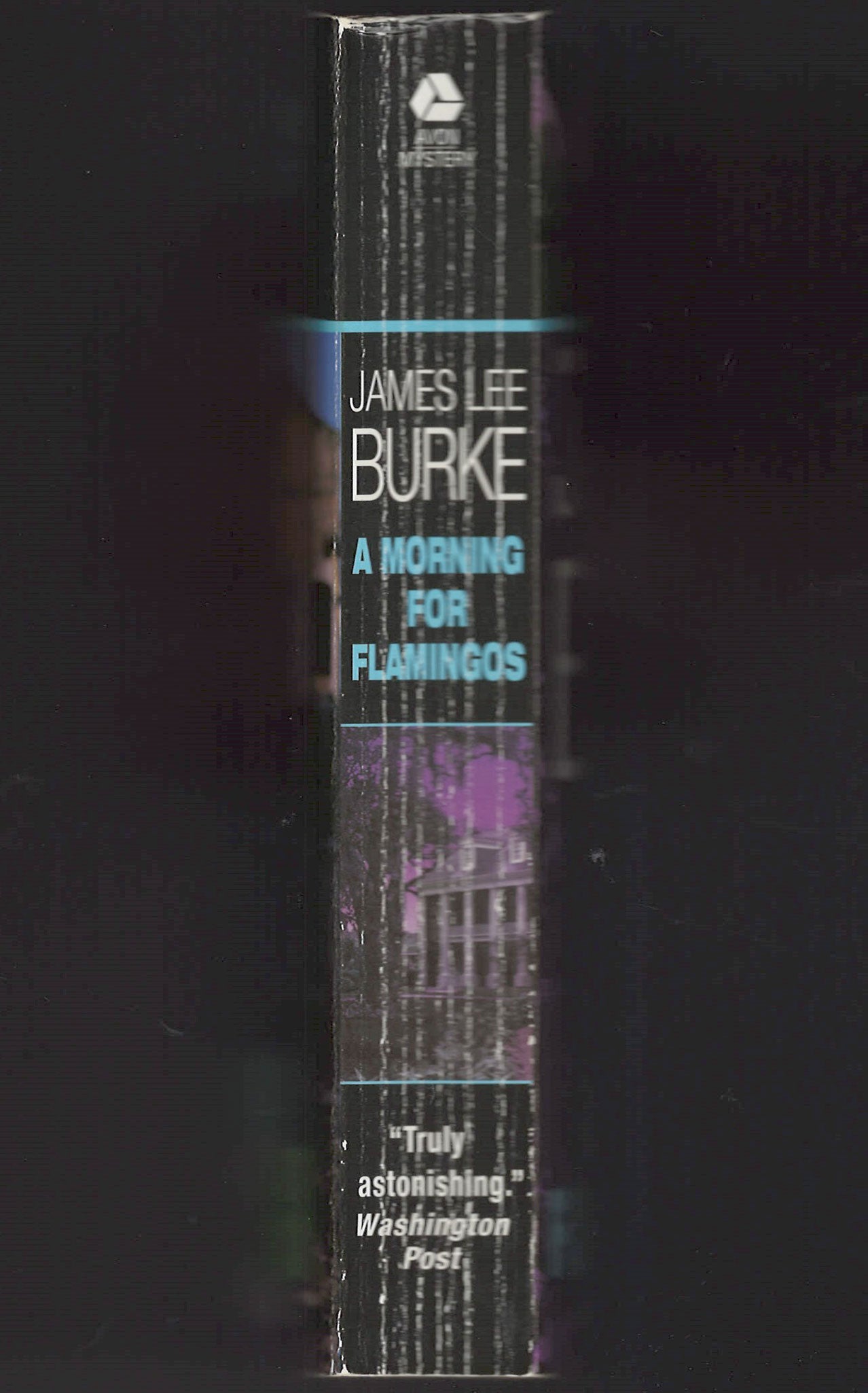 Morning for Flamingos by James Lee Burke spine