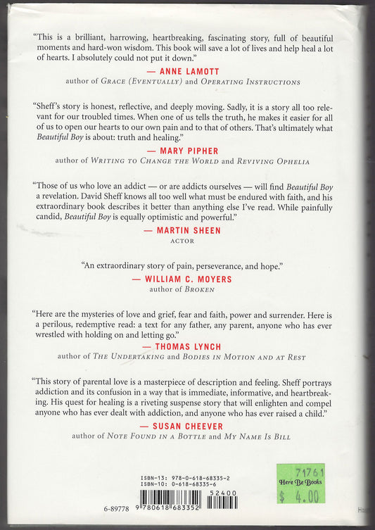 Beautiful Boy A Father's Journey Through His Son's Addiction by David Sheff back cover