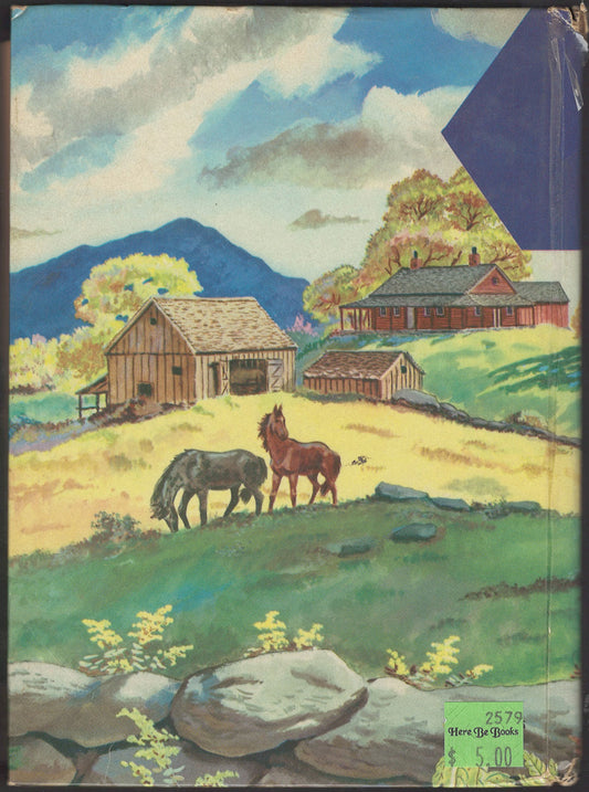 Beautiful Joe by Marshall Saunders back cover