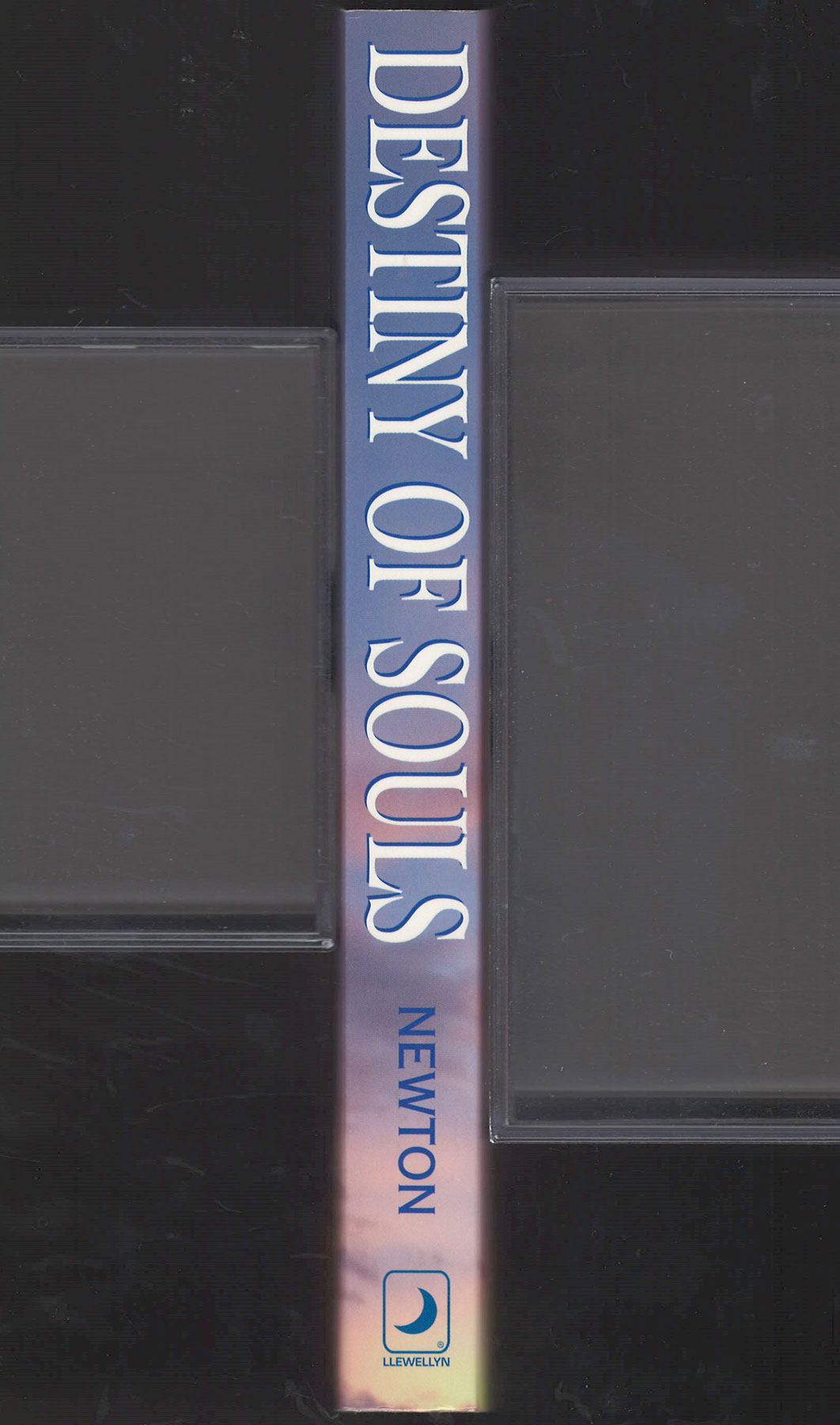 Destiny of Souls by Michael Newton spine