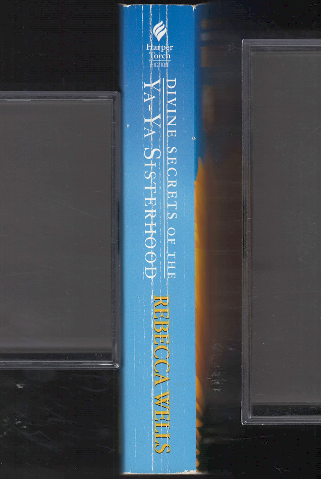 Divine Secrets of the Ya-Ya Sisterhood by Rebecca Wells spine