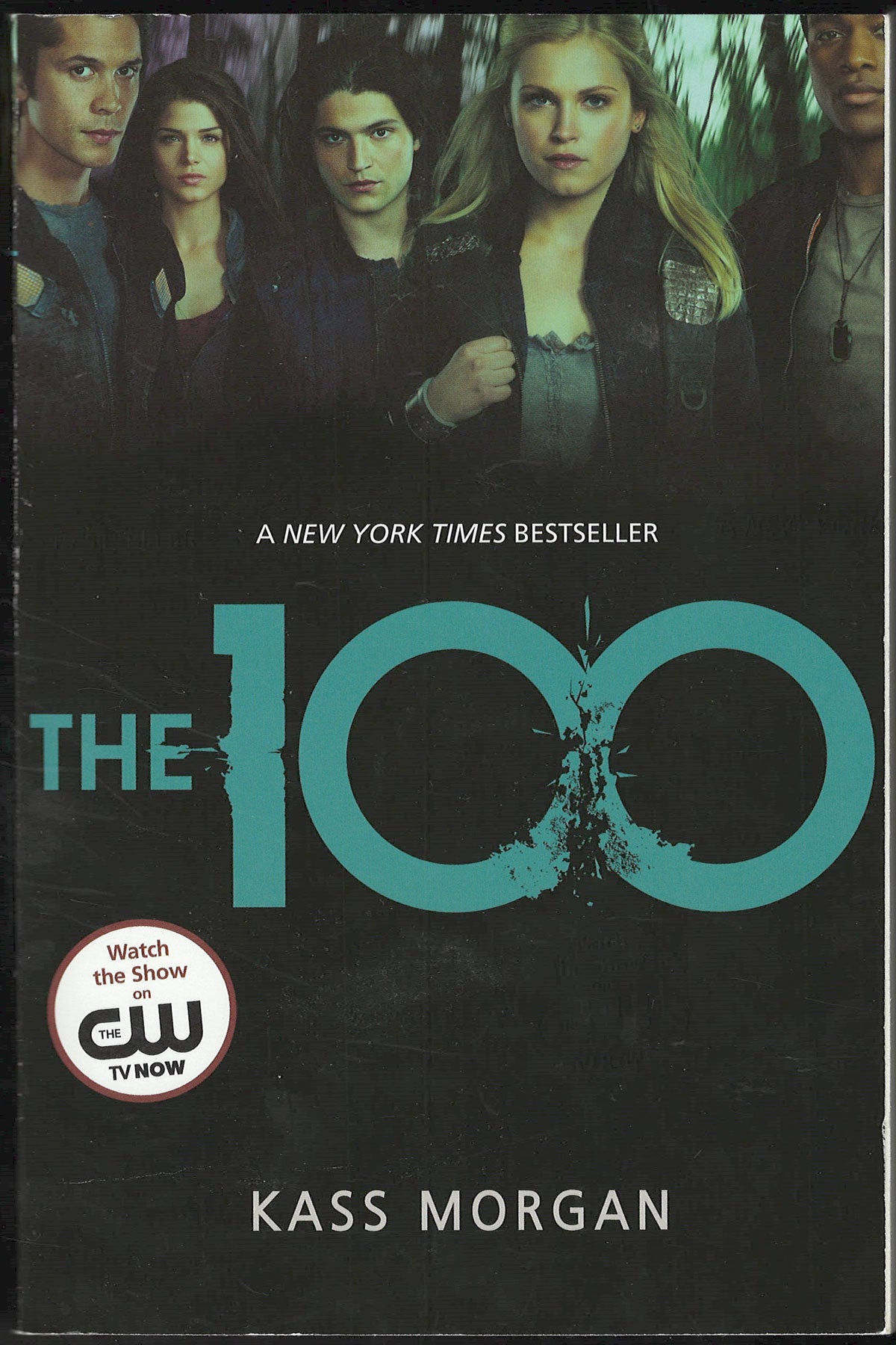 The 100 by Kass Morgan front cover
