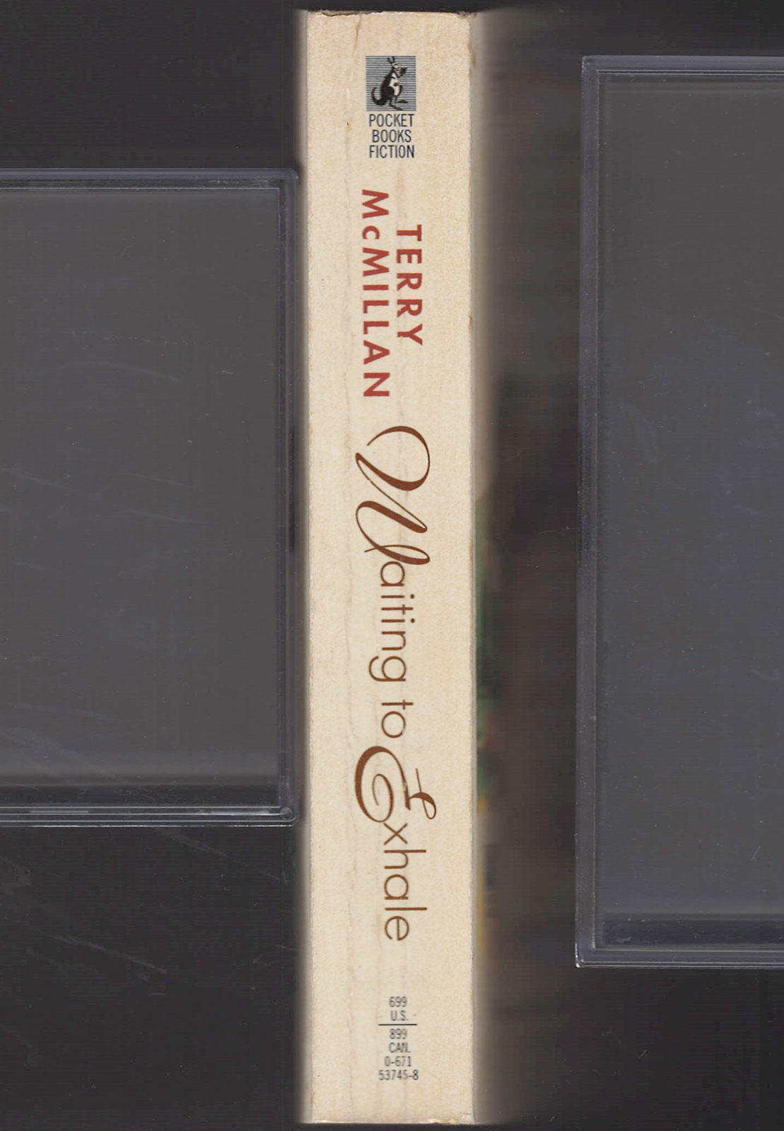 Waiting to Exhale by Terry McMillan spine