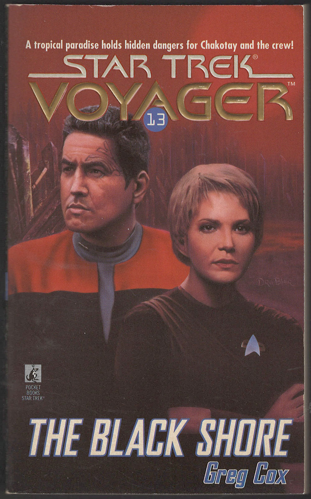 The Black Shore by Greg Cox front cover