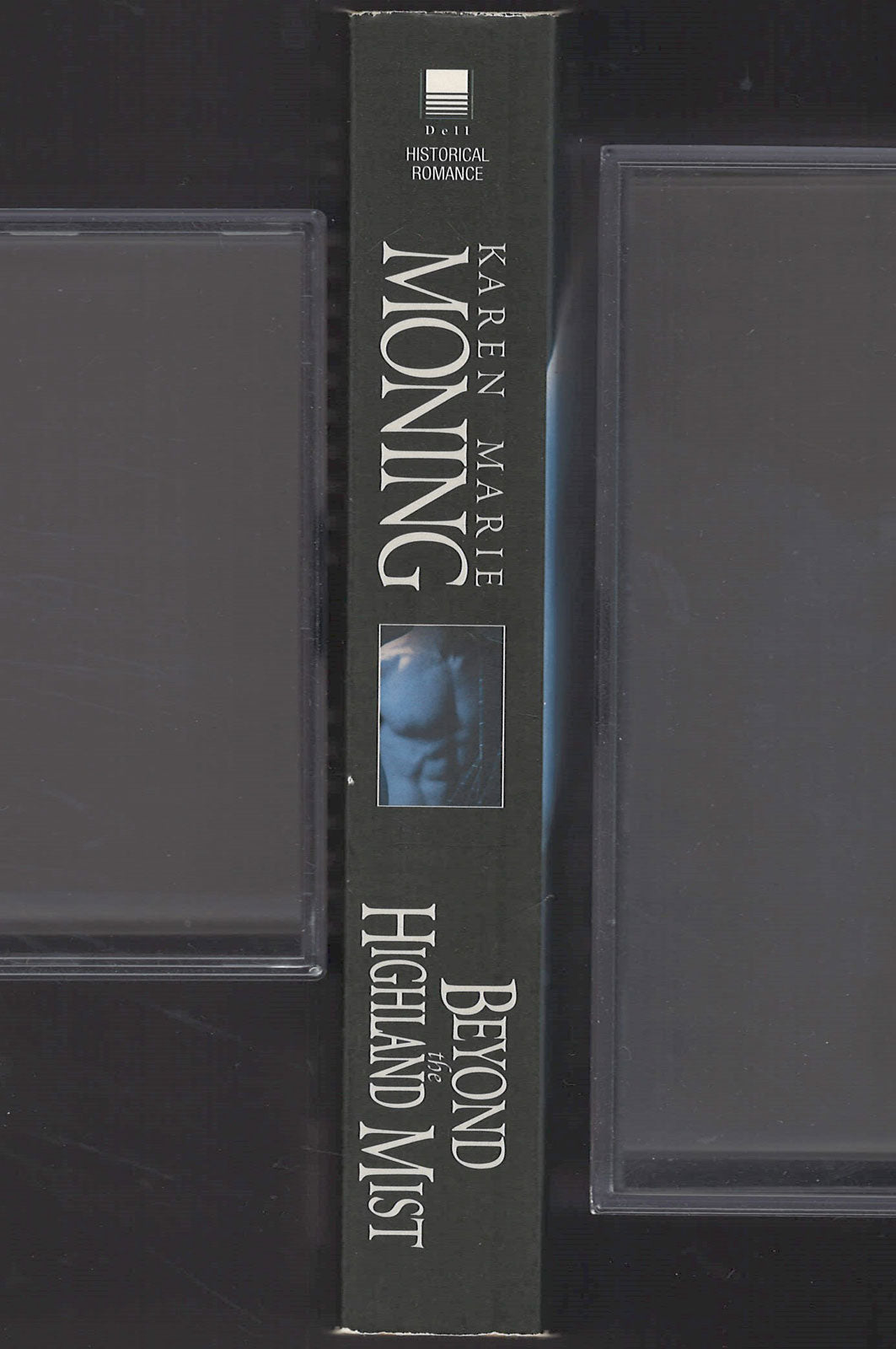 Beyond the Highland Mist by Karen Marie Moning spine
