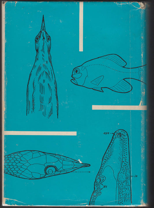 The Vertebrate Eye and Its Adaptive Radiation by Gordon Walls back cover