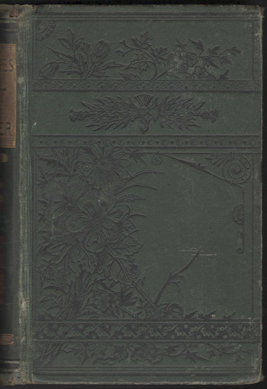 Thrilling Adventures in the Forest, and on the Frontier front cover