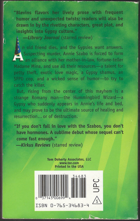 The Hummingbird Wizard by Meredith Blevins back cover