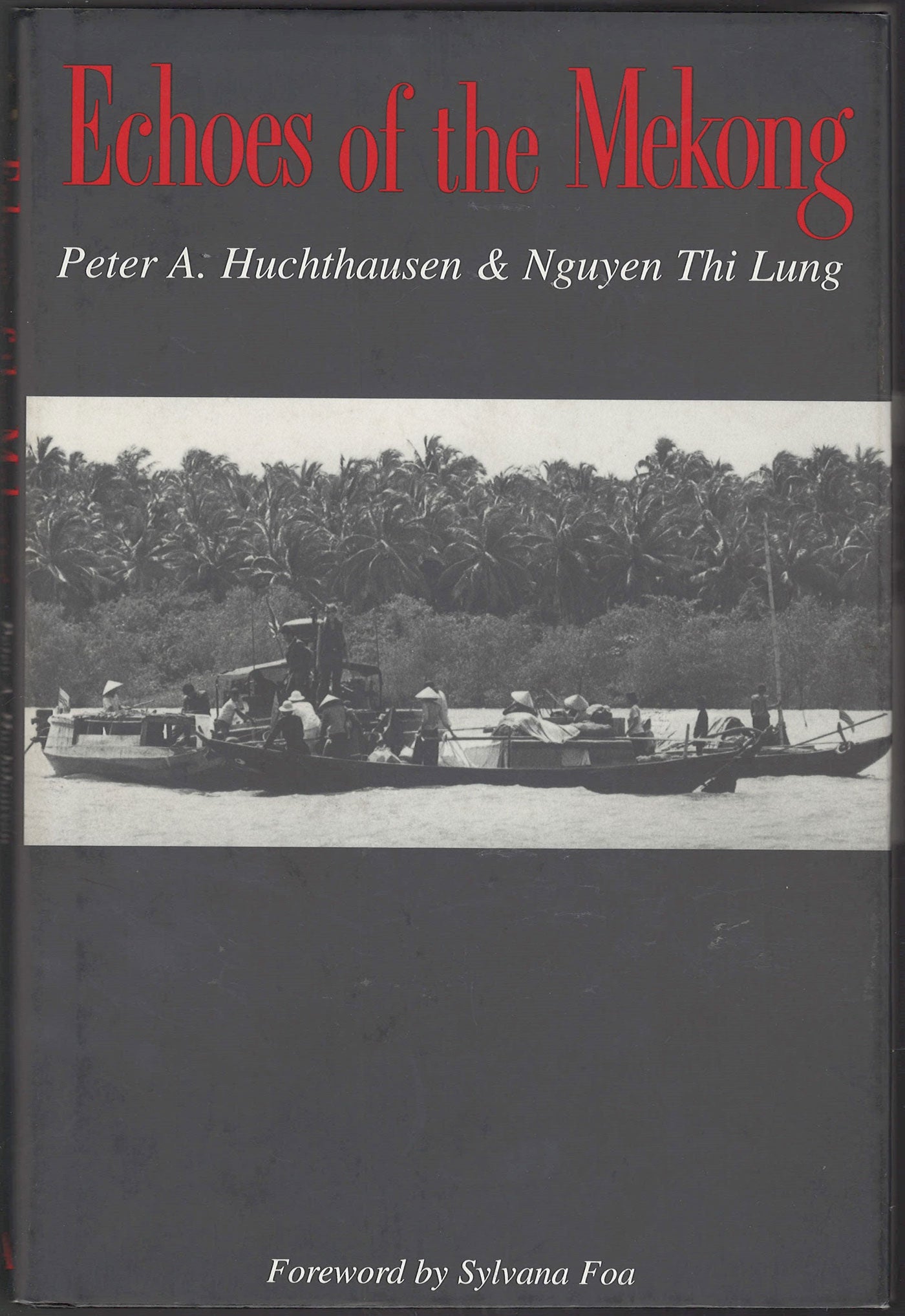 Echoes of the Mekong by Peter Huchthausen and Nguyen Thi Lung front cover