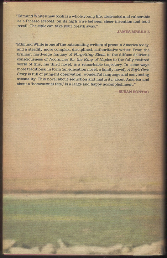 A Boy's Own Story by Edmund White back cover