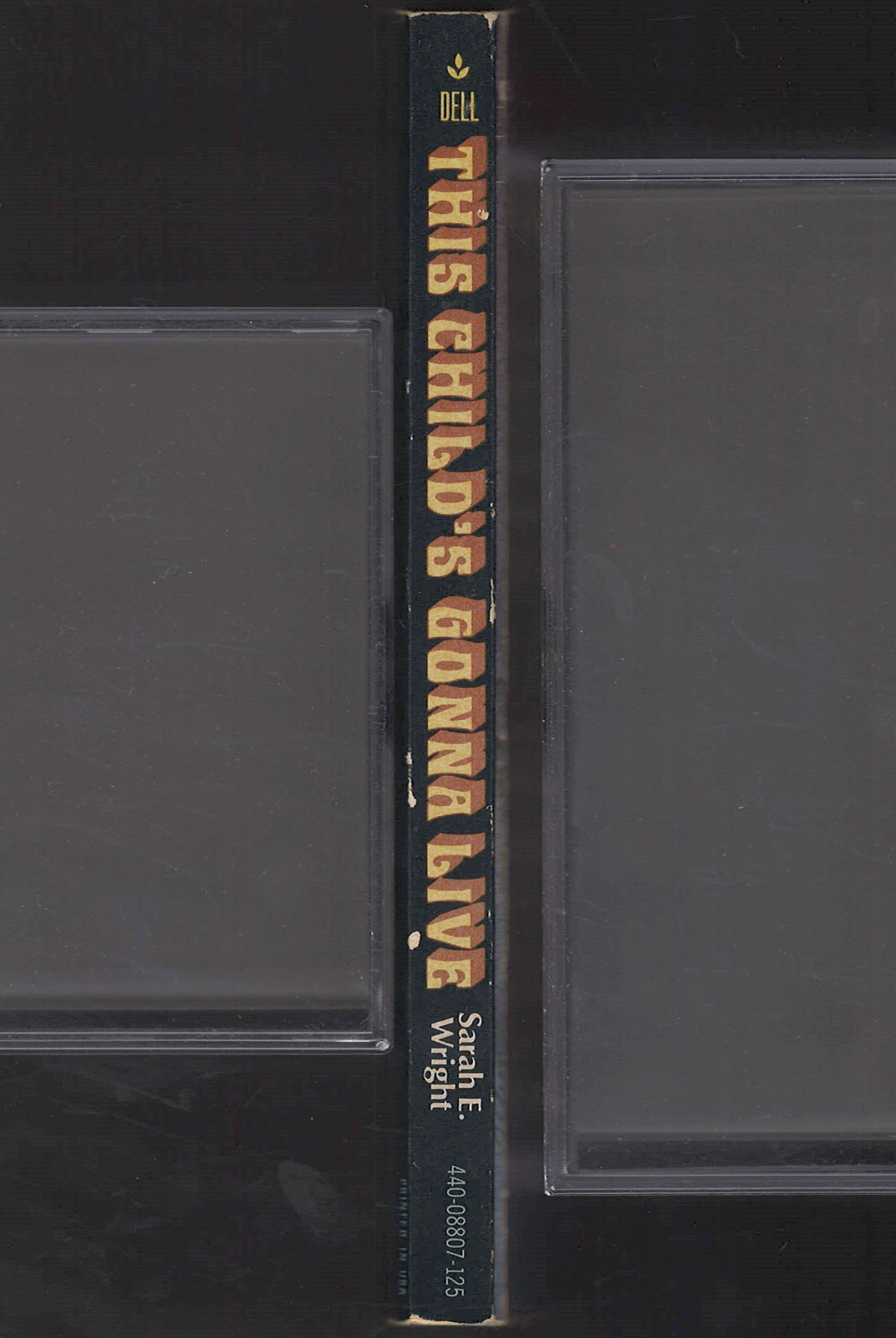 This Child's Gonna Live by Sarah Wright spine