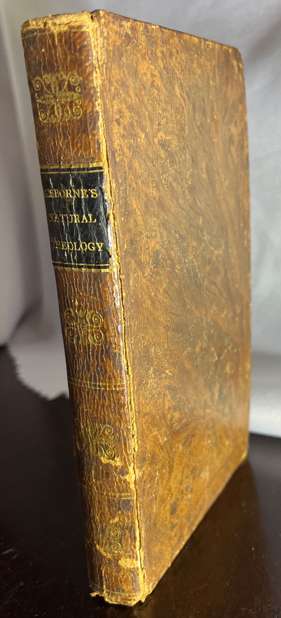 Testimony of Natural Theology to Christianity by Thomas Gisborne