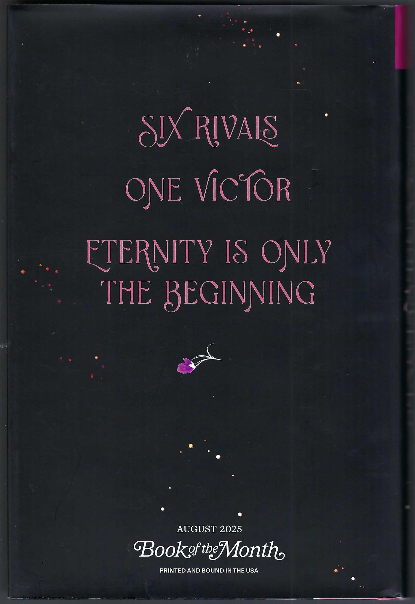 Immortal Consequences by I. V. Marie back cover