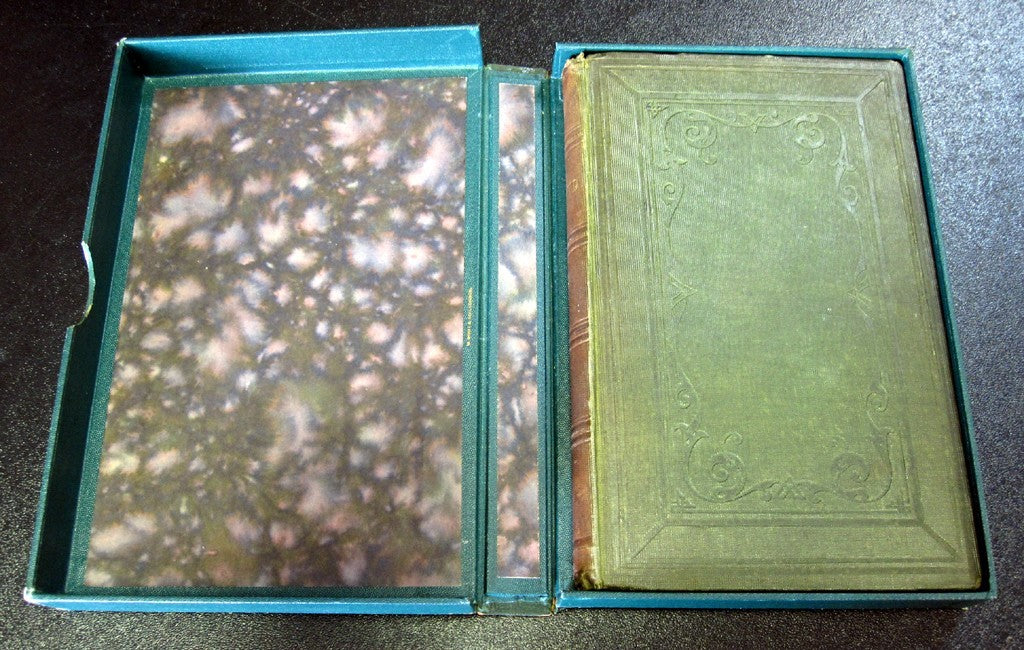 Maud and other poems by Lord Alfred Tennyson