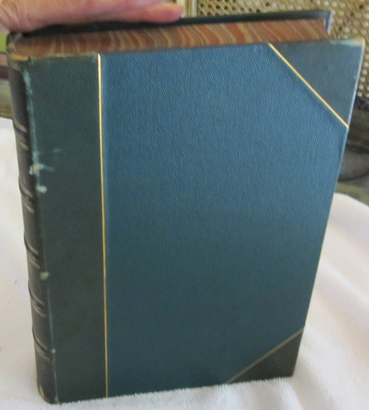 Earth and Its Inhabitants front cover