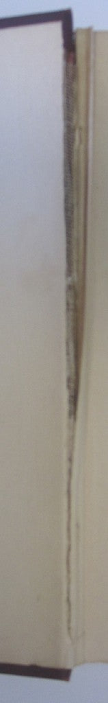 Sport Indeed by Thomas Martindale