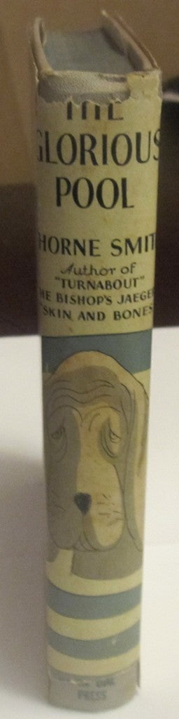 The Glorious Pool spine