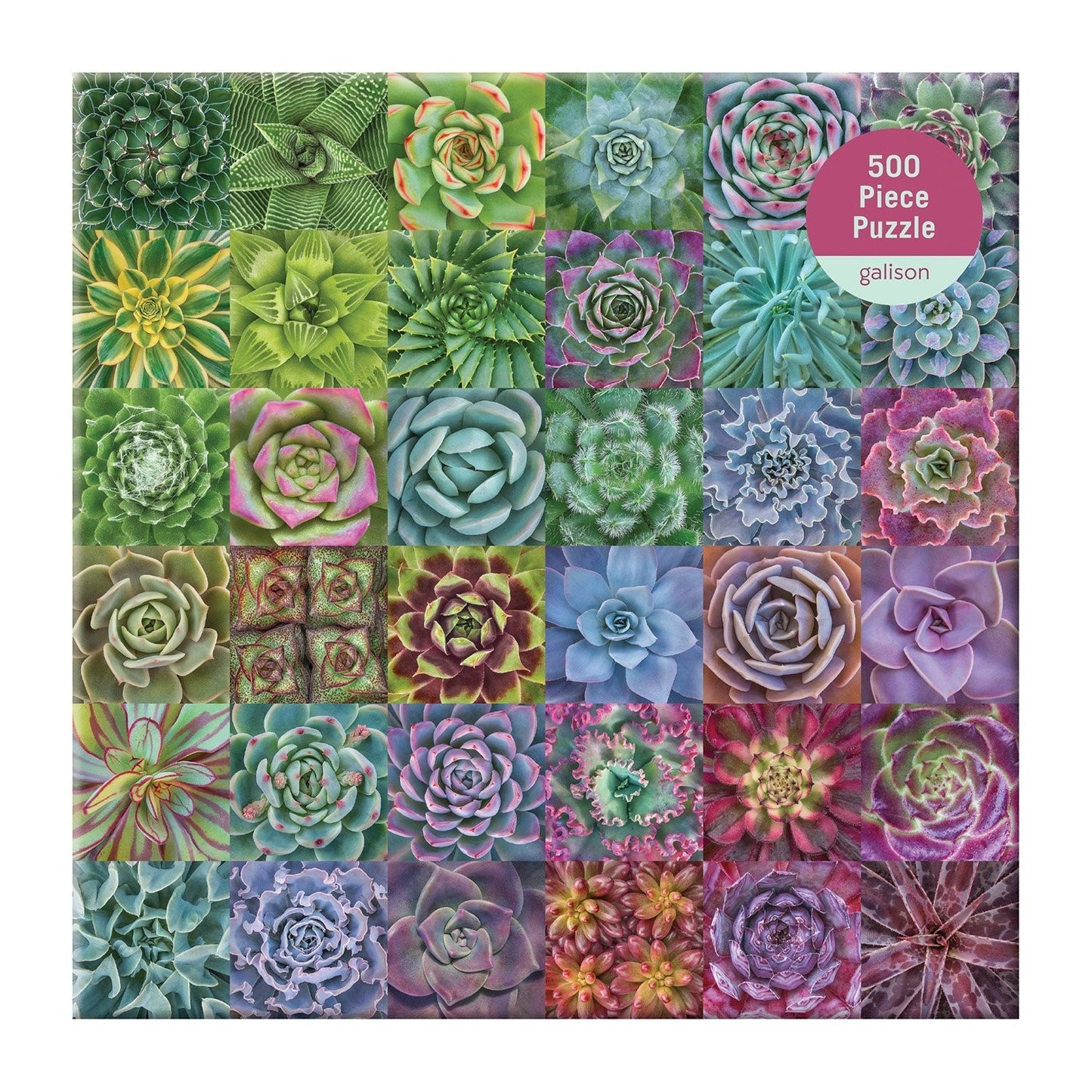 Succulent Spectrum 500 Piece Jigsaw Puzzle