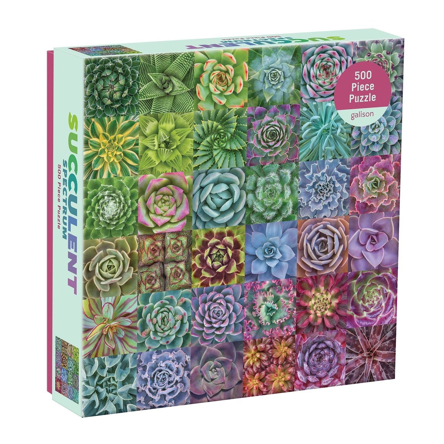 Succulent Spectrum 500 Piece Jigsaw Puzzle