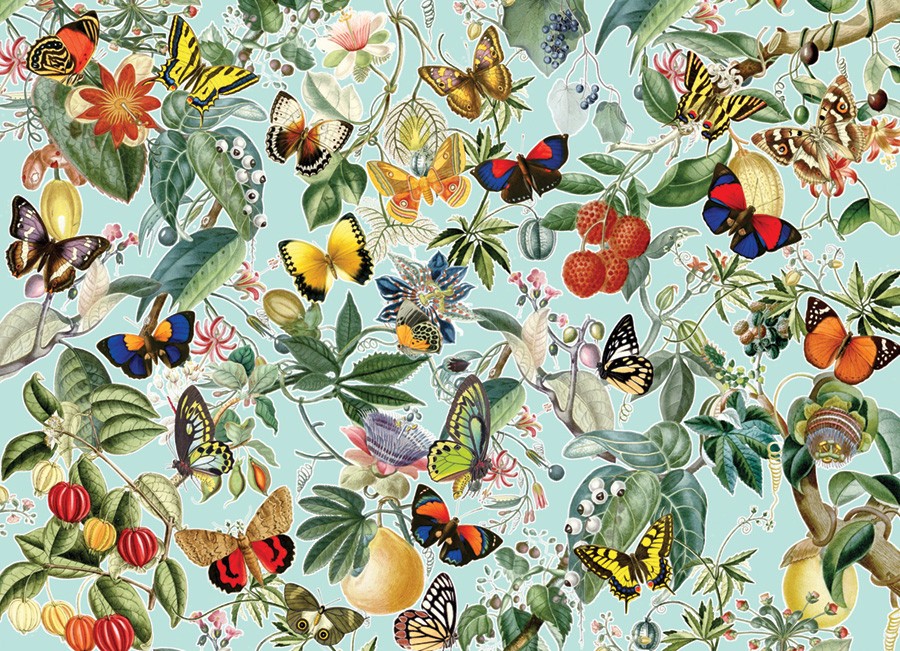 Fruit and Flutterbies 1000 Piece Jigsaw Puzzle