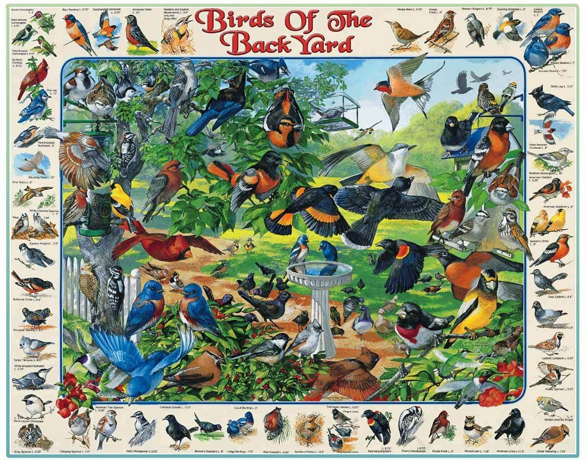 Birds of the Back Yard 1000 Piece Jigsaw Puzzle
