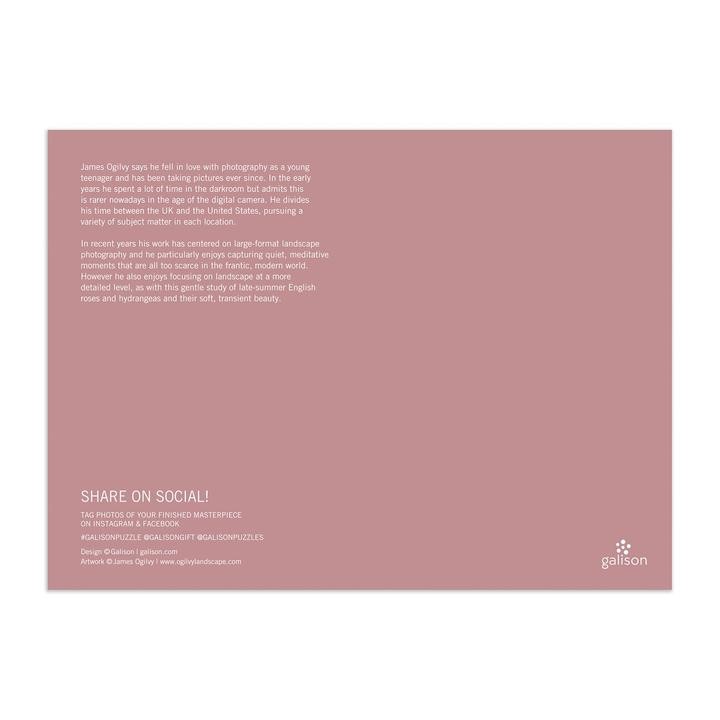 English Roses 1000 Piece Jigsaw Puzzle