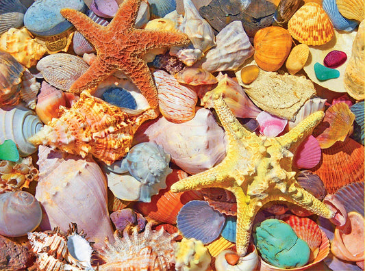 Beach Shells 500 Piece Puzzle