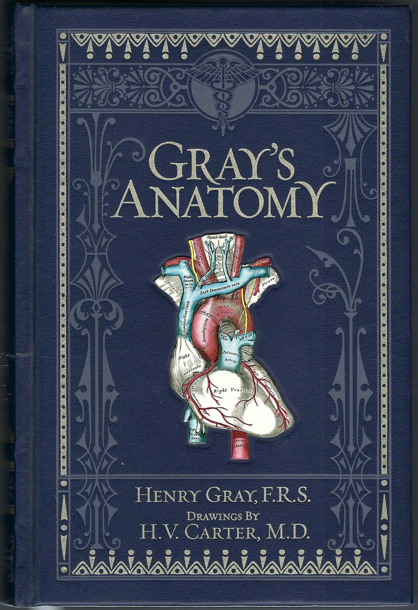 Front cover of Gray's Anatomy with a medical illustration on a blue background