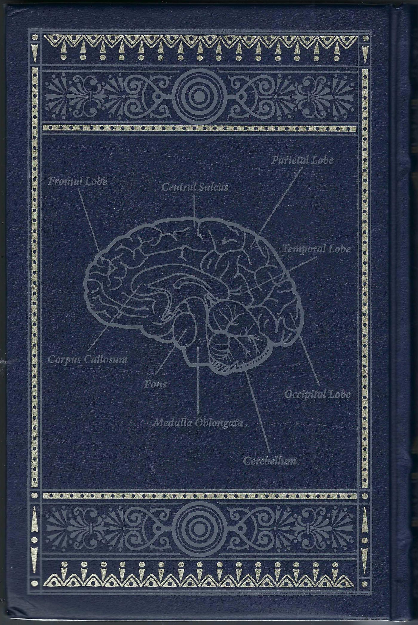 Gray's Anatomy by Henry Gray back cover