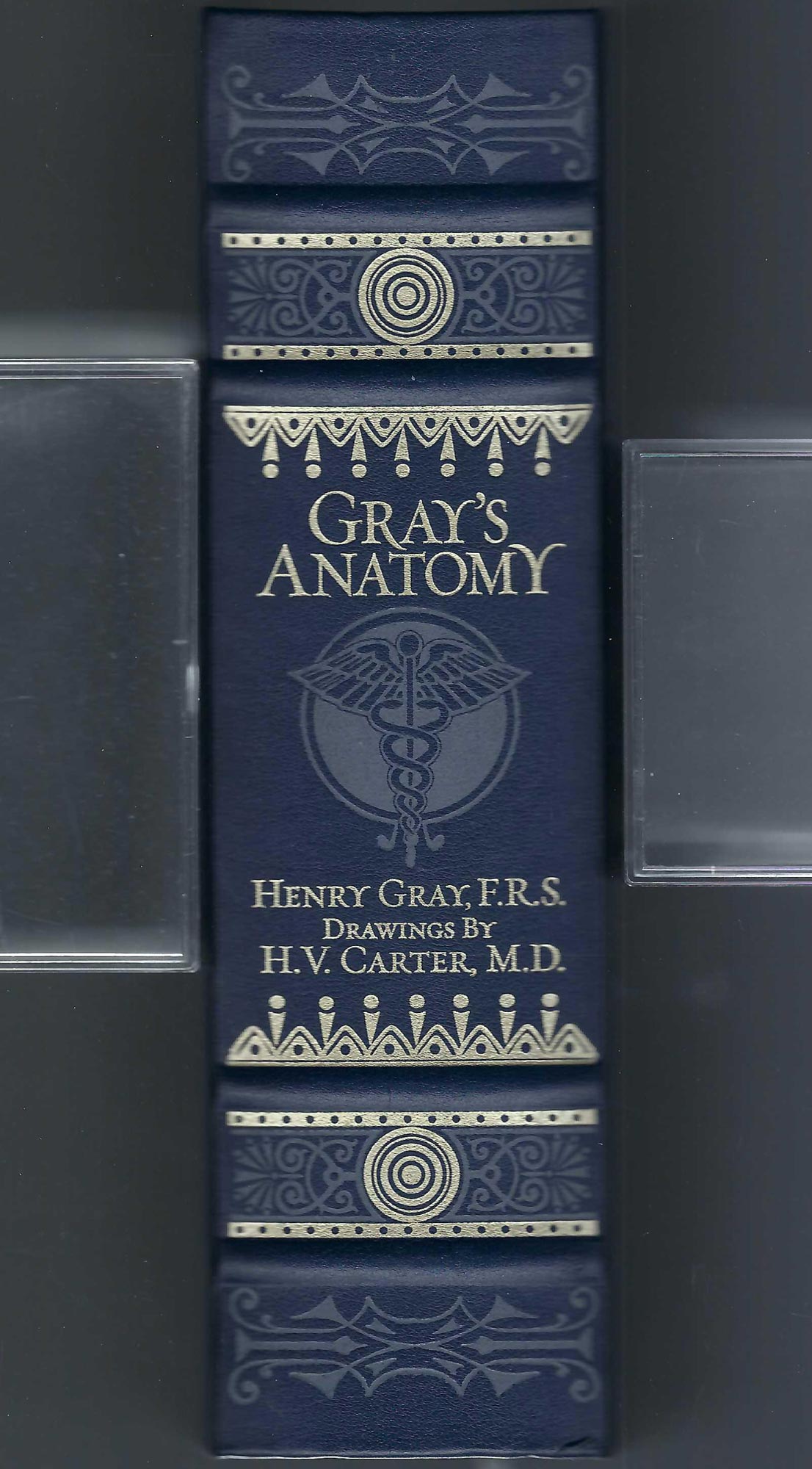 Gray's Anatomy by Henry Gray spine