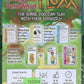 Hundred Acre Wood Fluxx back of box