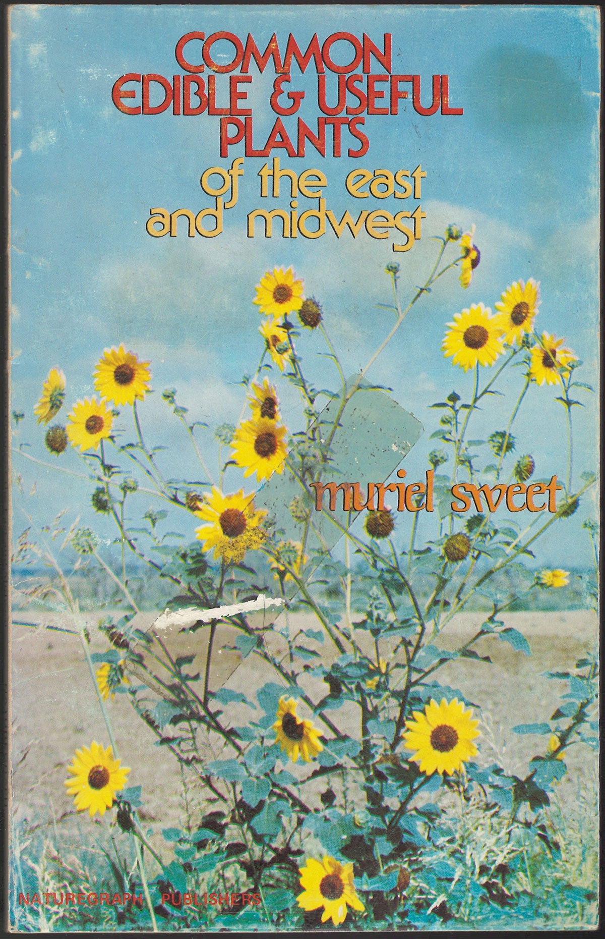 Common Edible and Useful Plants of the East and Midwest by Muriel Sweet front cover