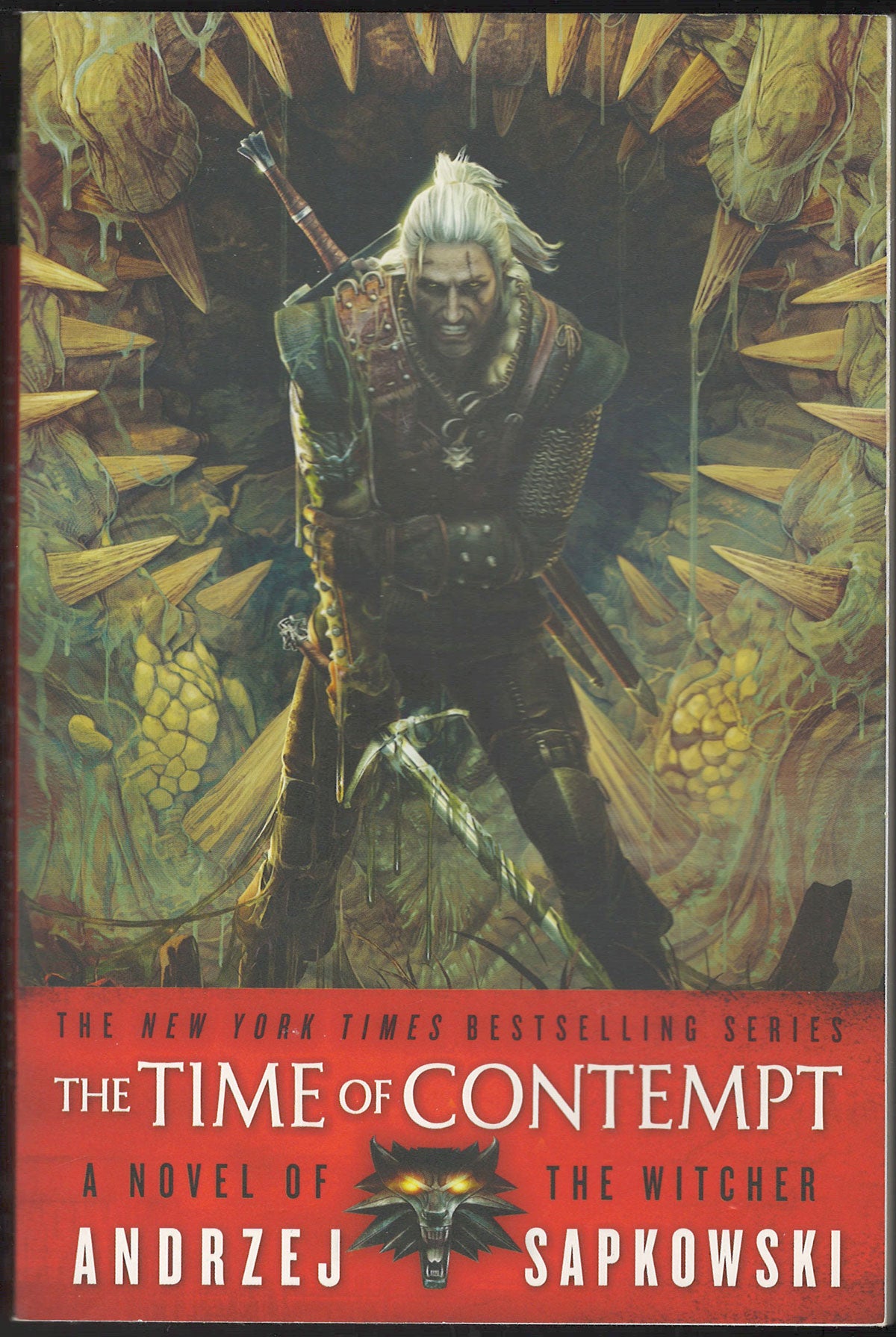 Front cover of The Time of Contempt from The Witcher series by Andrzej Sapkowski