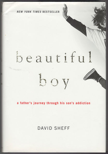 Beautiful Boy A Father's Journey Through His Son's Addiction by David Sheff front cover