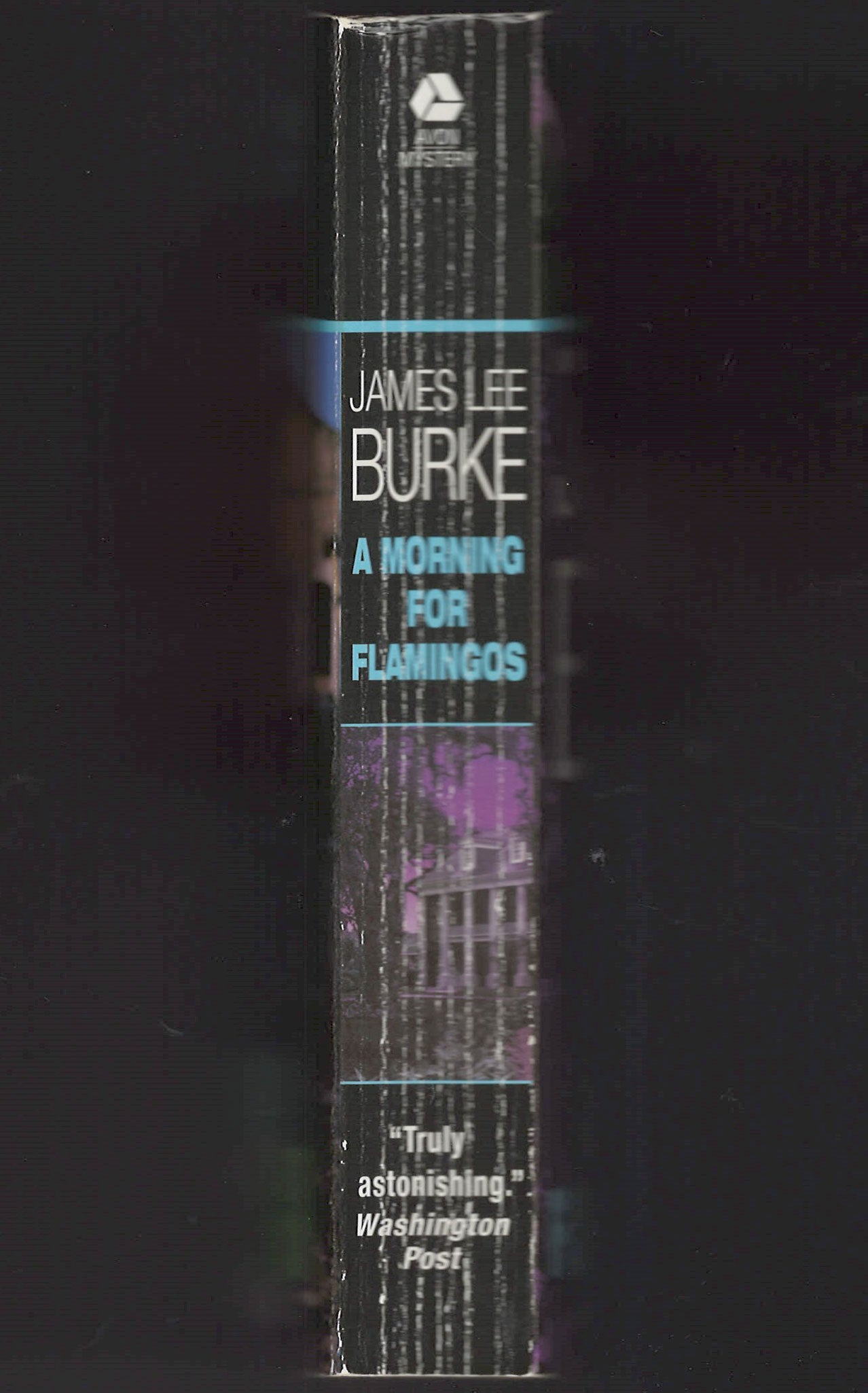 Morning for Flamingos by James Lee Burke spine