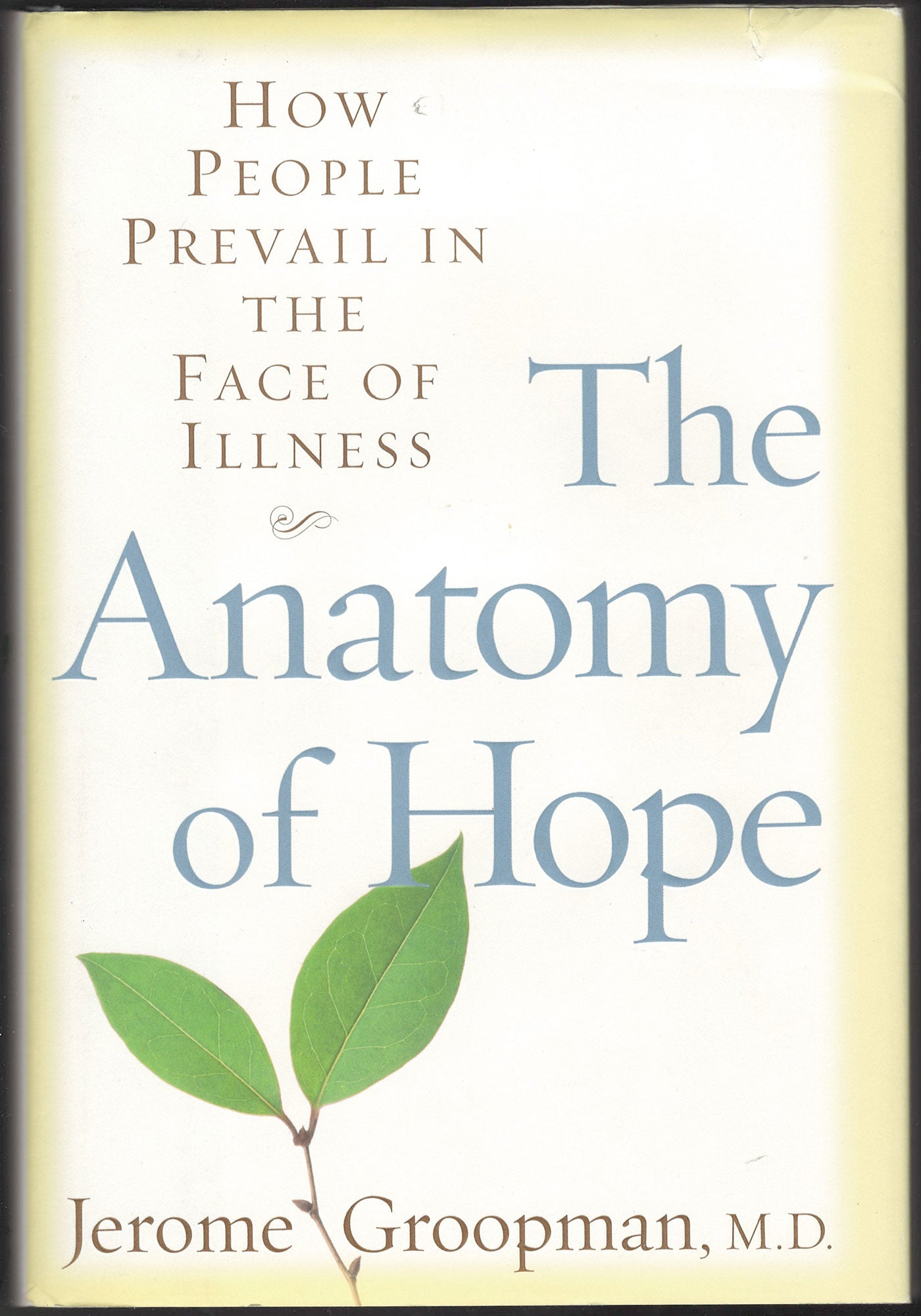 Anatomy of Hope How People Prevail in the Face of Illness front cover