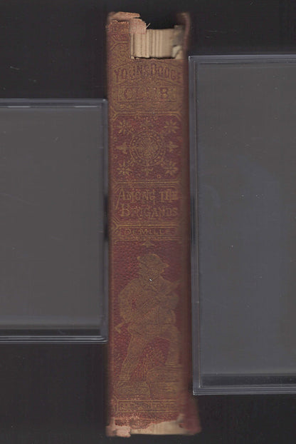 Among the Brigands by Prof. James De Mille spine