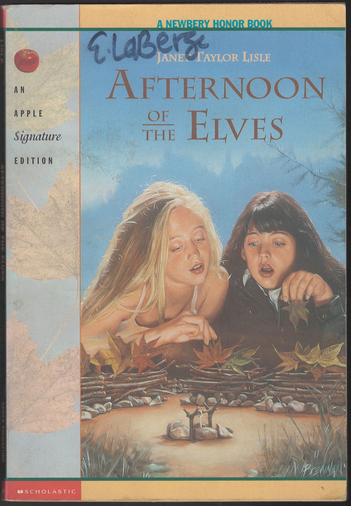 Afternoon of the Elves by Janet Taylor Lisle front cover