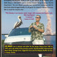 Cadillac Beach by Tim Dorsey back cover