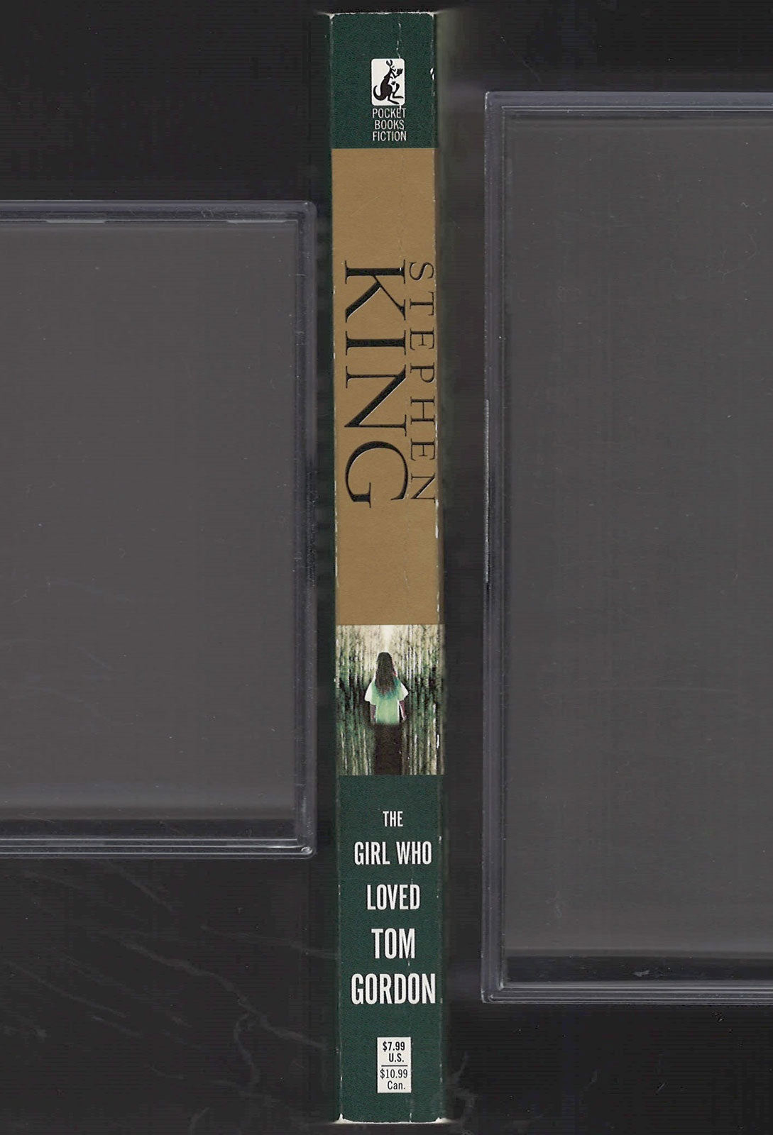 Girl Who Loved Tom Gordon by Stephen King spine