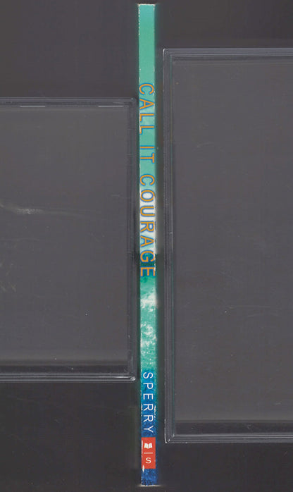 Call It Courage by Armstrong Sperry spine