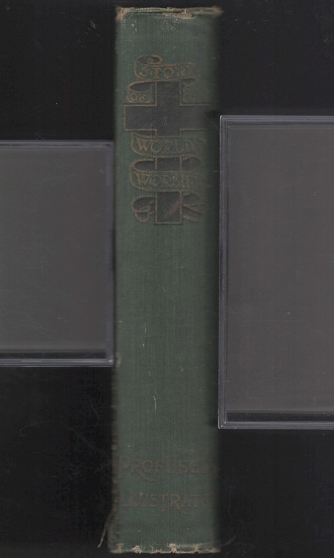 Story of the World's Worship by Frank Dobbins spine