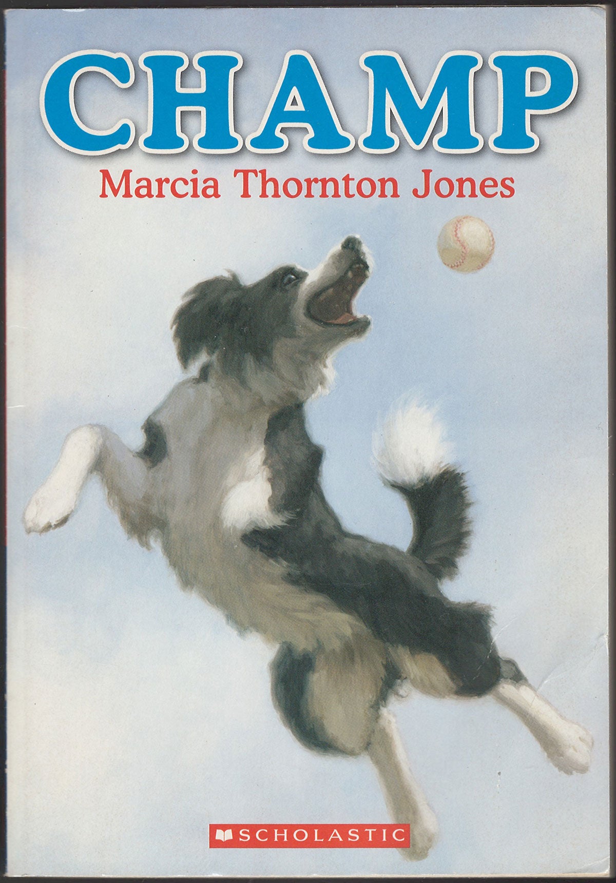 Champ by Marcia Thornton Jones front cover