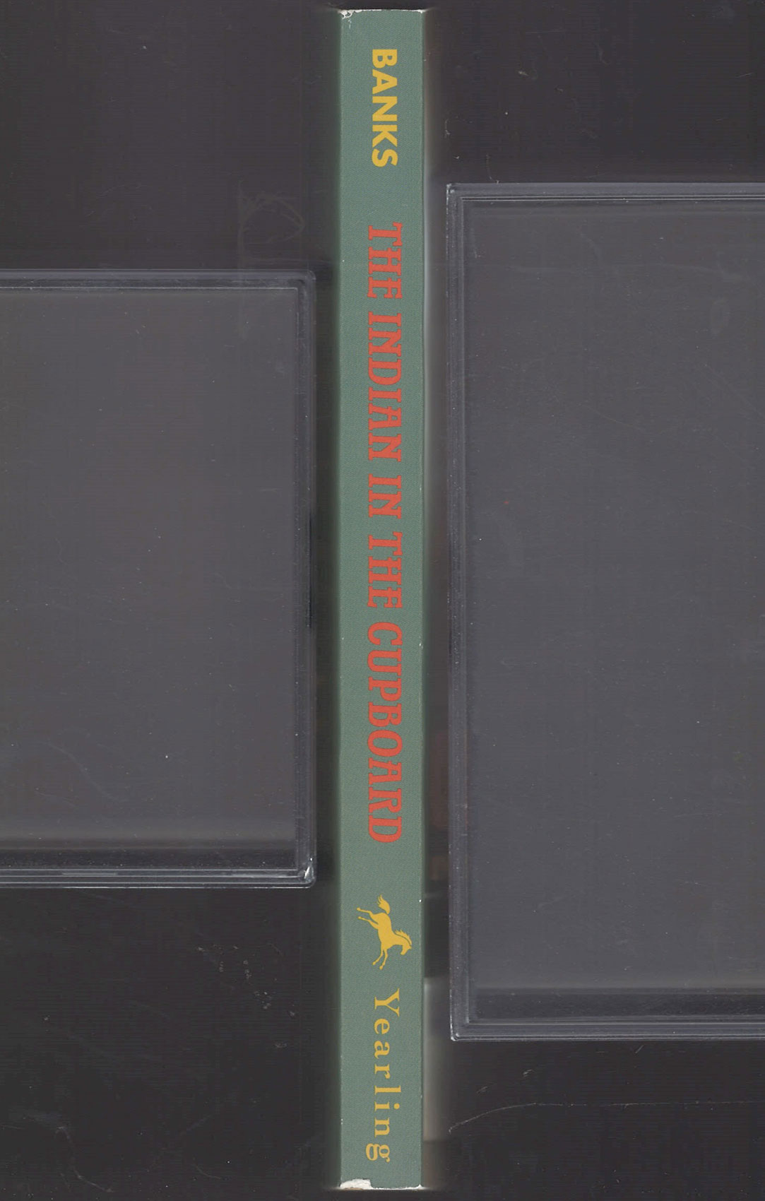 The Indian in the Cupboard by Lynne Banks spine