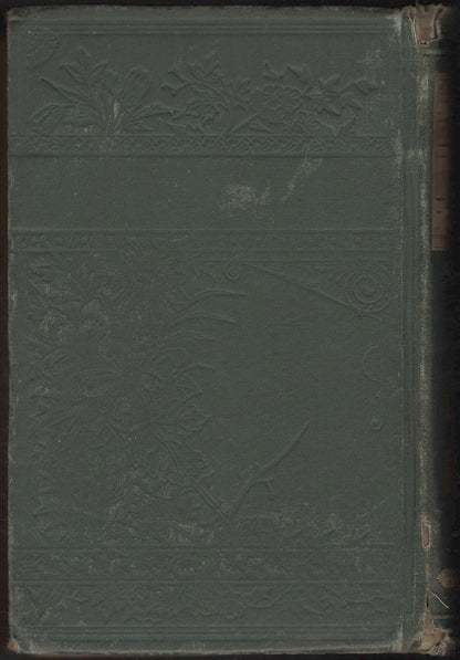 Thrilling Adventures in the Forest, and on the Frontier back cover