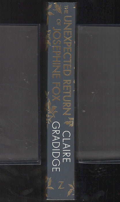 Unexpected Return of Josephine Fox by Claire Gradidge