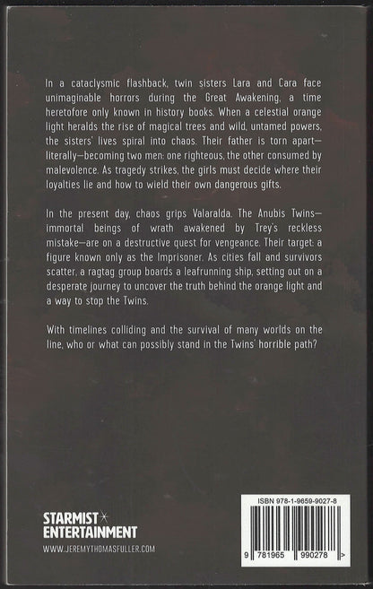 The Twin Fury by Jeremy Thomas Fuller back cover