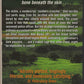 Final Account by Peter Robinson back cover