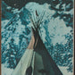 The Indian Tipi It's History, Construction and Use by Reginald and Gladys Laubin back cover